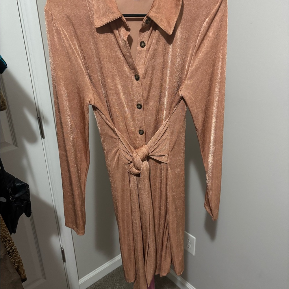 Elegant Tan Button-Down Dress
